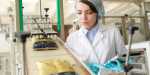 Stagiaire Santé, Qualité, Hygiène, Environnement (